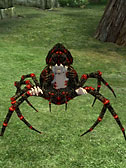 Spider Daedra